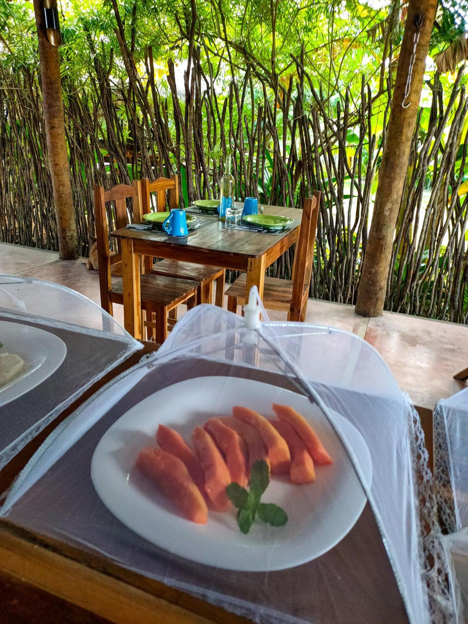 Icarai Kite House Hotel Exterior foto